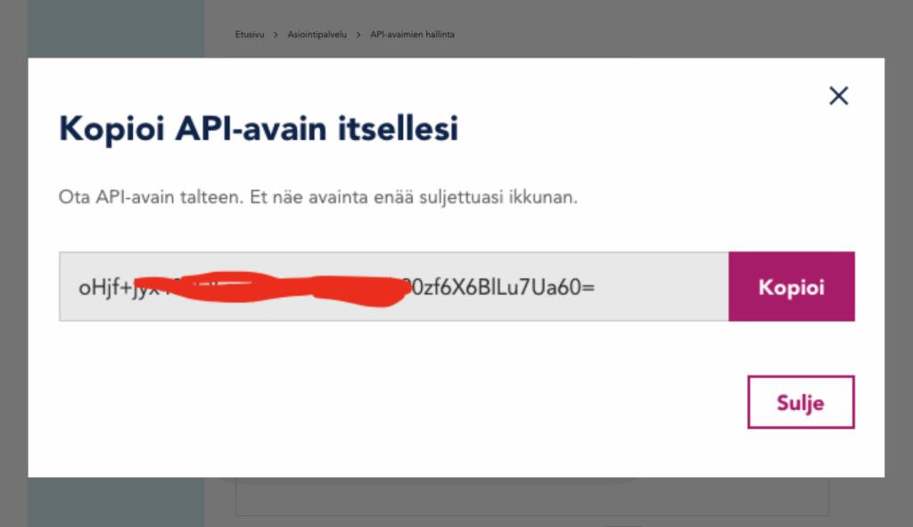 Copying the generated API key in the Transparency Register